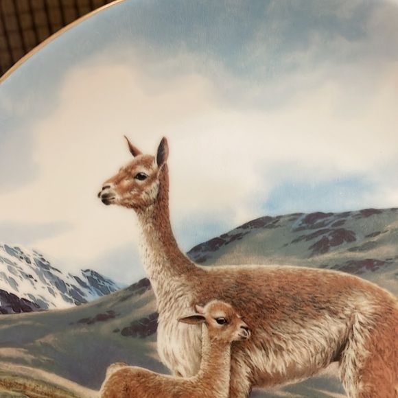 The Vicuña Will Nelson Vintage Last of Their Kind: The Endangered Species Plate - Picture 3 of 15